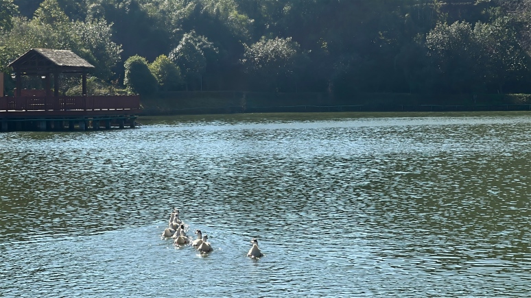 微信图片_20260113111816_19_16(1).jpg 微信图片_20260113111816_19_16(1).jpg